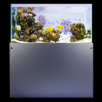 レンタル熱帯魚水槽 TS-1200