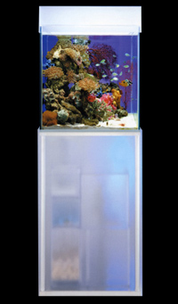 レンタル熱帯魚水槽 TS-C500