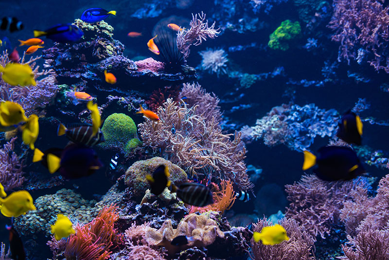 隔週のメンテナンス