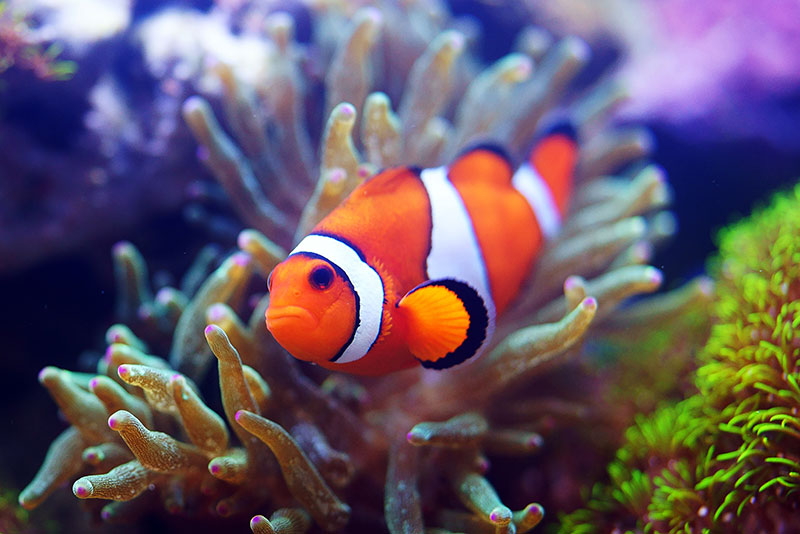 安心の生体保証